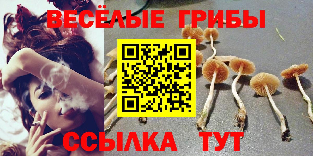Зерноград  Галлюциногенные грибы мухоморы  сколько стоит  Вход с VPN 